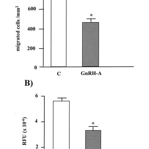 Effects Of GnRH A On Melanoma Cell Migratory A And Invasive Behavior