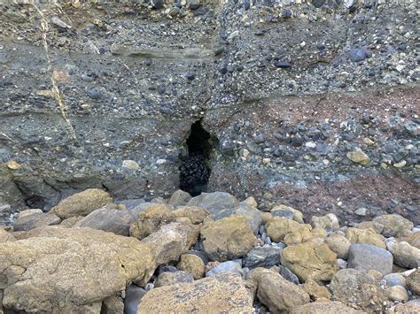 Dana Point Sea Caves — California By Choice