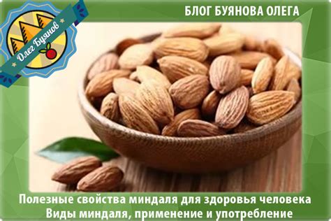 Горький, сырой и жареный миндаль-калорийность, свойства, польза ядра ...