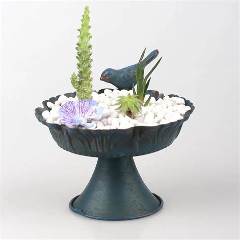 Buy Baroque Style Blue Bird Succulent Plants Flower