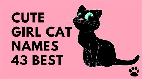 Cute Girl Cat Names 43 Names You Will Love Names Youtube