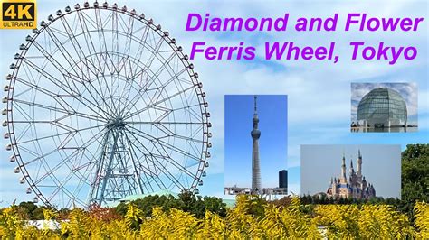 Ferris Wheel In Tokyo A Tour Of The Diamond And Flower Kasai Rinkai