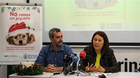 MASCOTAS LPGC Ayuntamiento Y Colegio De Veterinarios Lanzan Una