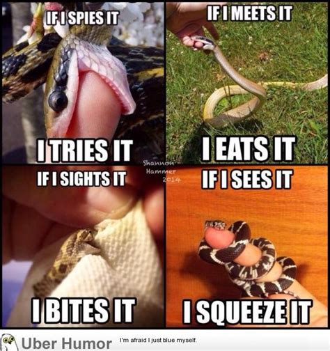 Snek | Funny Pictures, Quotes, Pics, Photos, Images. Videos of Really Very Cute animals.