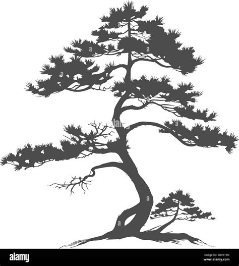 tree silhouette cedar vector, tattoo logo cypress template design, tree ...