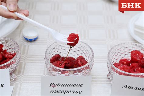 Названы три продукта на завтрак для снижения аппетита и веса « БНК