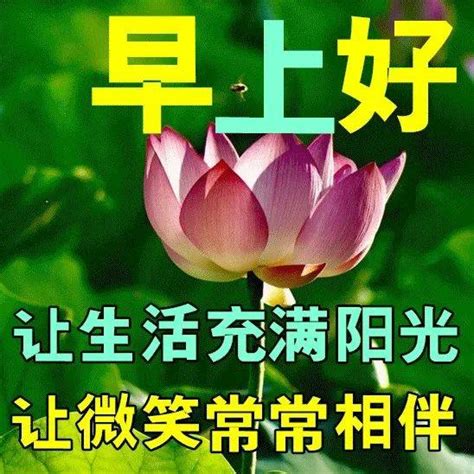 7月10日最新早上好祝福动态表情图片大全，早上好问候语句子！ 阳光 生活 收获