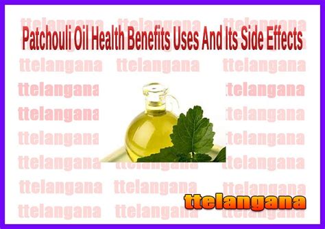 Health Benefits Of Patchouli Oil Uses And Its Side Effects