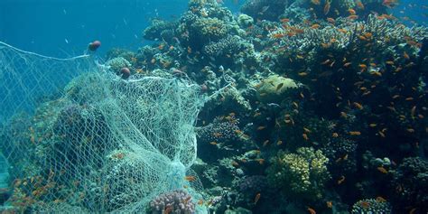 Ridding The Ocean Of Ghost Fishing Gear Just Love Fishing