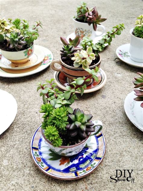 Tea Cup Succulent Planters Diy Show Off ™ Diy Decorating And Home