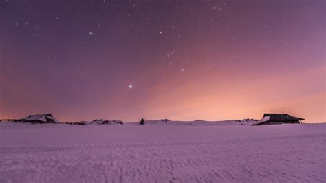 Winter Serenity Under Starry Skies Backiee