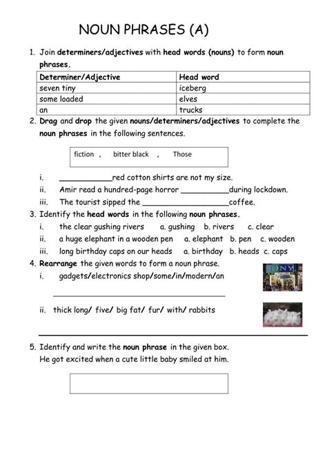 Noun Phrases interactive worksheet