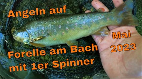 Bachforelle Angeln Mit Er Spinner Am Bach Tipps Youtube