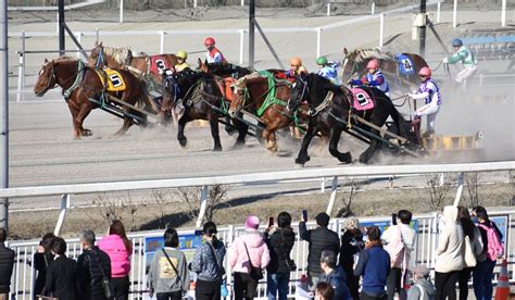 ばんえい競馬、22年度馬券販売は554億円 過去最高を9年連続更新 毎日新聞