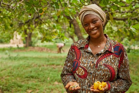 La Sécurité Alimentaire En Afrique Subsaharienne Repose Sur Laccès Des