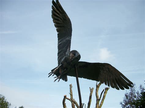 Swooping Barn Owl Mild Steel Dadey Fine Metal Art