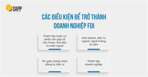 Vốn FDI Là Gì Đặc Điểm Điều Kiện Hoạt Động Đầu Tư FDI