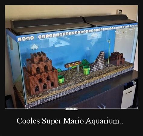 Cooles Super Mario Aquarium Lustige Bilder Sprüche Witze echt