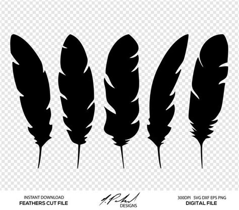 Feathers Digital Cut Files Digital Files Feather Svg Etsy Feather