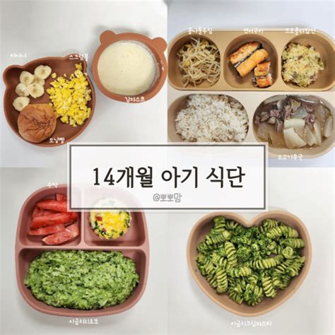 14개월 아기 유아식 식단 반찬 레시피 모음 네이버 블로그