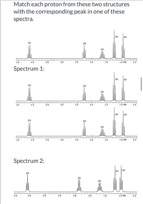 Solved Points The Structures Of Ethyl Butanoate And Chegg