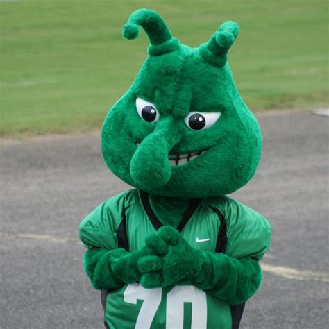 worst college mascots youll  encounter page