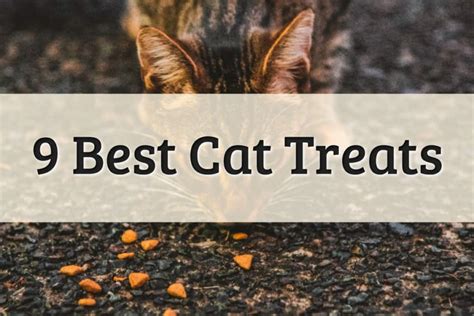 9 Best Cat Treats For Your Pet 2022 Review Complete Guide