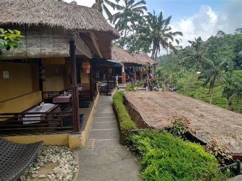 Tegalalang Rice Terrace Ubud Bali Location Map And Entrance Fee