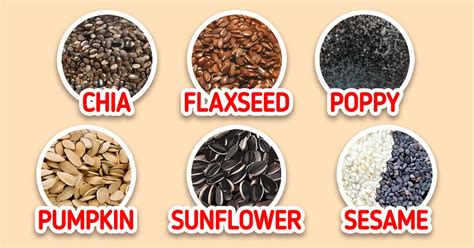 A Guide to Types of Seeds and Their Benefits / 5-Minute Crafts