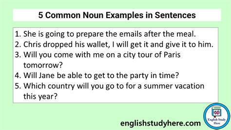 28 Examples of Noun Sentences, Noun Examples Sentences - English Study Here