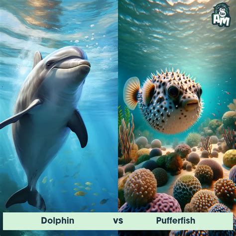 Pufferfish And Dolphins Pt Br