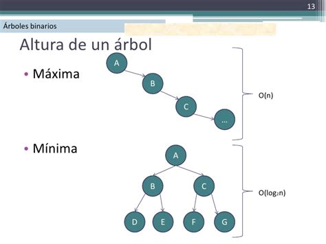 Matemáticas para la computación Grafos y arboles