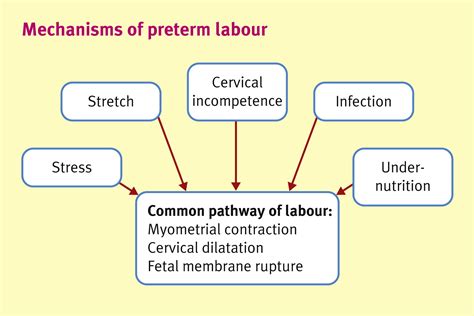 Management Of Preterm Labour Obstetrics Gynaecology And Reproductive