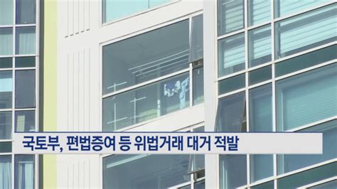 17세 청소년 편법증여로 57억 아파트 매수위법거래 대거 적발