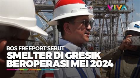 Progres Proyek Smelter Baru Di Gresik Senilai Rp Triliun Vlix Id