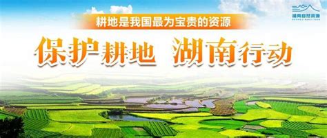 湖南日报：让每一寸耕地都成为丰收沃土 会同新闻网