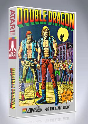 Double Dragon Retro Game Cases