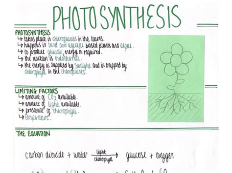 Photosynthesis Bioenergetics Revision Poster Aqa Gcse Biology Double