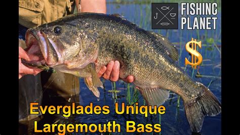 Fishing Planet Florida Everglades Unique Largemouth Bass Youtube