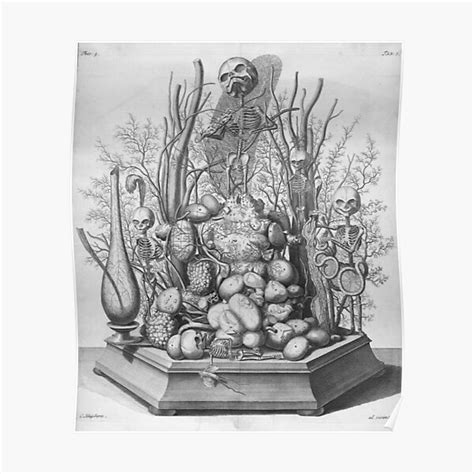 Macabre Aesthetics Anatomical Thesaurus By Frederik Ruysch Poster For Sale By Cynicalstoic