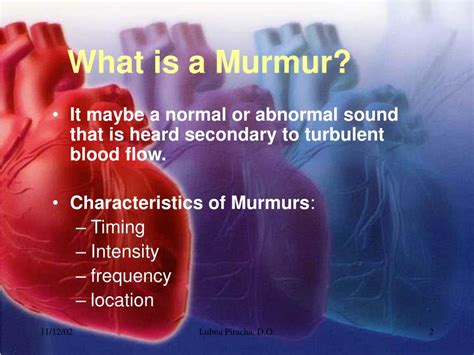 PPT - Cardiac Murmurs PowerPoint Presentation, free download - ID:2757198