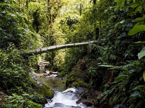 How To Visit Mindo Cloud Forest From Quito In Ecuador Kitti Around