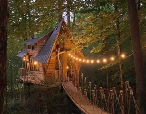 Pin By Stefani Nieb On Places To Go Tree House Cool Tree Houses