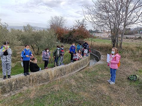 Los Escolares De La Zubia Conocen La Historia Y El Patrimonio De Su