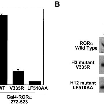 Differential Determinants Of ROR Interaction With GRIP 1 And PBP A