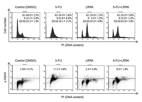 Dclk1 Inhibition Cancels 5 Fu Induced Cell Cycle Arrest And Decreases Cell Survival In