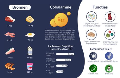 Wat Zijn De Symptomen Van Een Vitamine B12 Tekort Neovital Nutrition