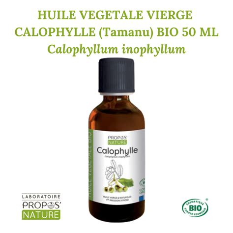 CALOPHYLLE Tamanu BIO HUILE VEGETALE VIERGE 50 ML Calophyllum