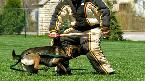 Bite Suits – Redline K-9