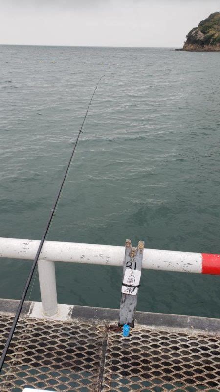 尺アジ釣れました 大阪府 とっとパーク小島 サビキ チャリコ 陸っぱり 釣り・魚釣り 釣果情報サイト カンパリ